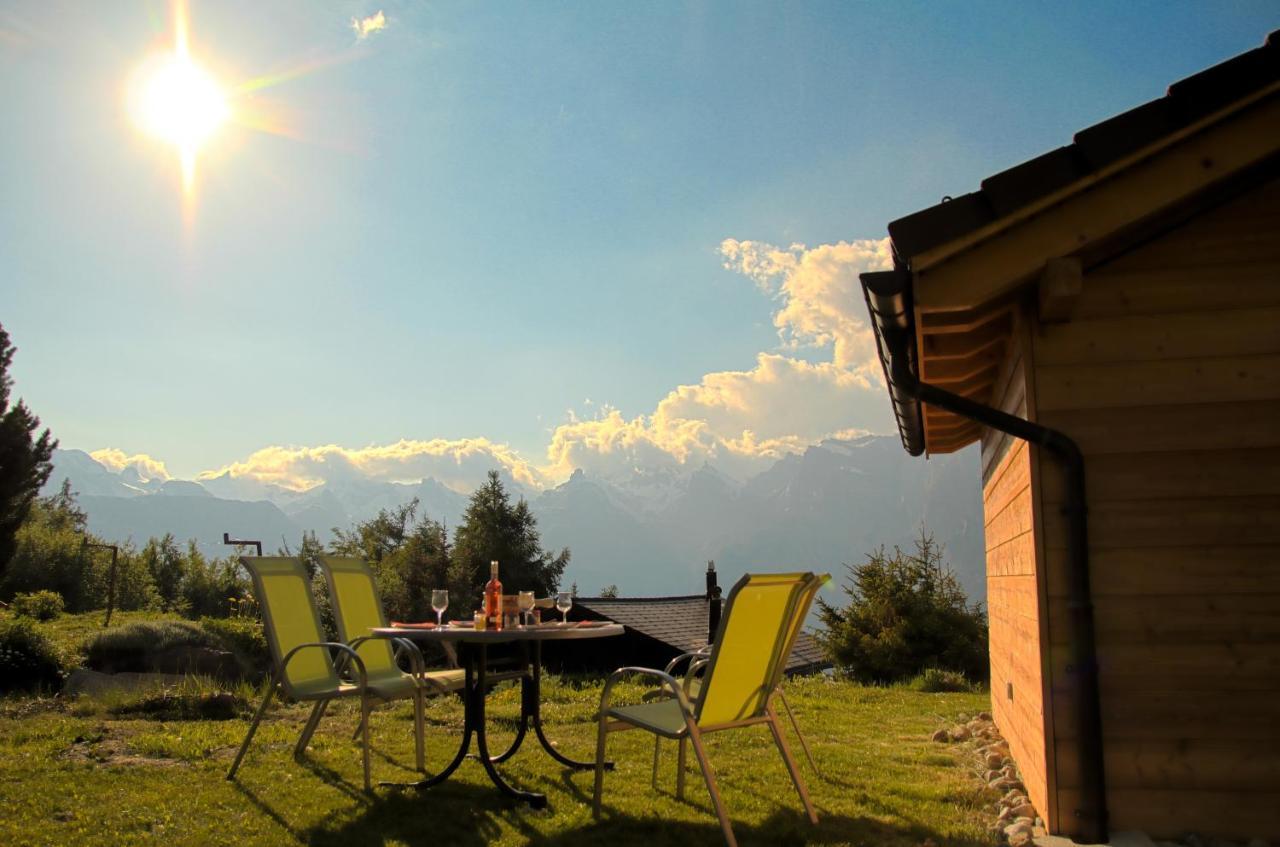 Chalet Mon Sousou Nendaz Exterior foto